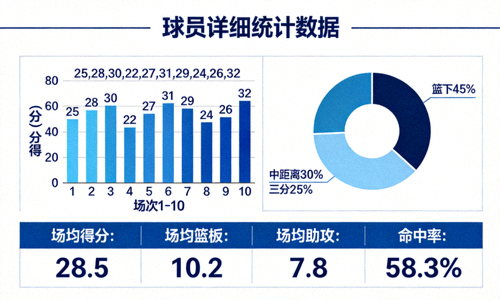 球员详细统计数据面板，包含图表与数字